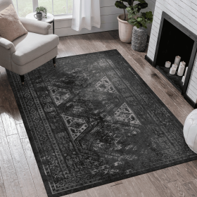 3x5 Area Rugs, Washable Rug, Low-Pile, Non-Slip, Non-Shedding, Foldable, Kid & Pet Friendly - Area Rugs for living room, bedroom, kitchen
